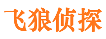 金阳市侦探公司